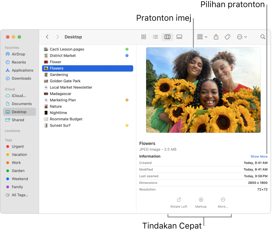Tetingkap Finder menunjukkan bar sisi Finder di sebelah kiri dan fail imej dipilih di bahagian tengah tetingkap. Di sebelah kanan, anak tetingkap Pratonton menunjukkan rupa imej, dengan butiran imej di bawahnya dan butang Tindakan Cepat di bahagian bawah.
