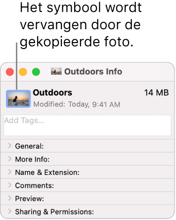 Het infovenster voor een map waarin het algemene symbool is vervangen door een afbeelding.