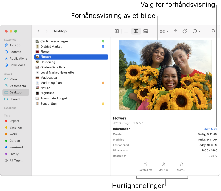 Et Finder-vindu som viser Finder-sidepanelet til venstre og en markert bildefil i midten av vinduet. I forhåndsvisningspanelet til høyre kan du se hvordan bildet ser ut, og under vises detaljer om bildet og nederst vises Hurtighandlinger-knappene.