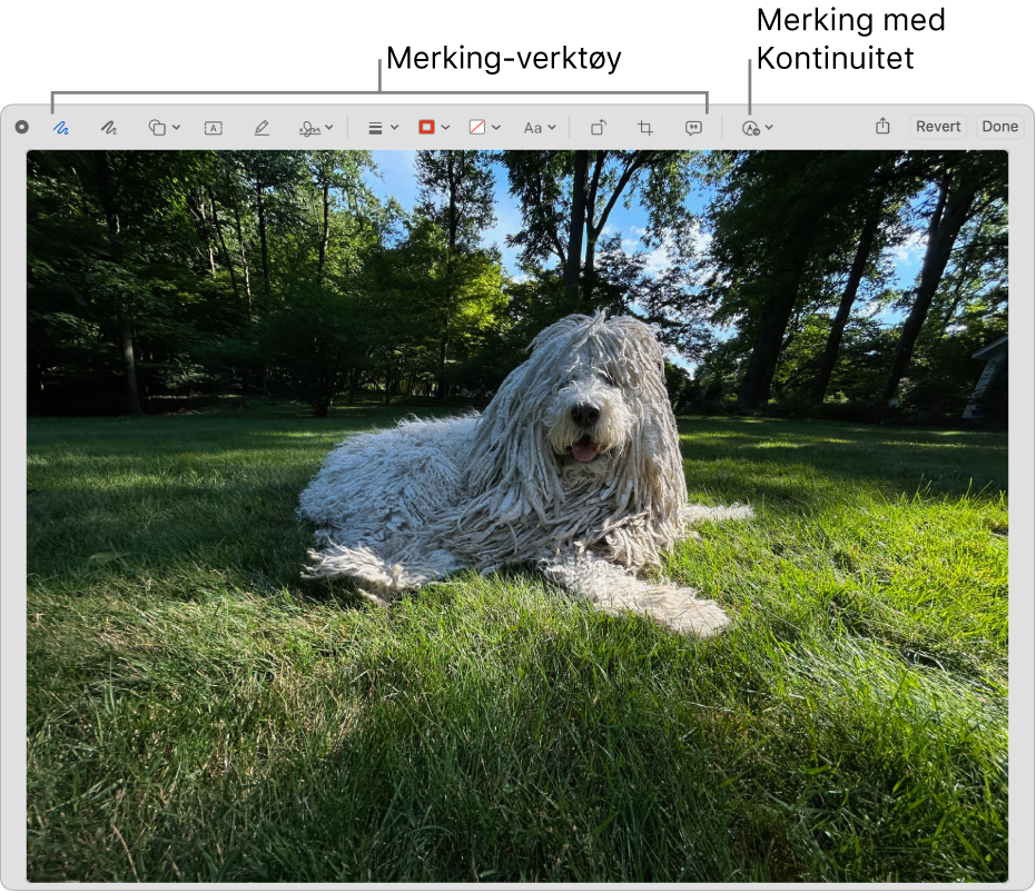 Et bilde i Merking-vinduet som viser verktøylinjen for Merking-verktøy og verktøyet man klikker på for å bruke kontinuitetsmerking på en iPhone eller iPad i nærheten.