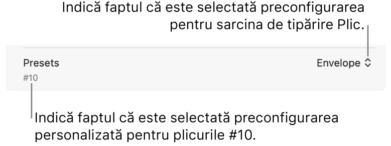 Secțiunea Preconfigurări din dialogul Tipărire afișând o preconfigurare aleasă pentru sarcina de tipărire a unui plic și o preconfigurare personalizată aleasă pentru un plic #10.