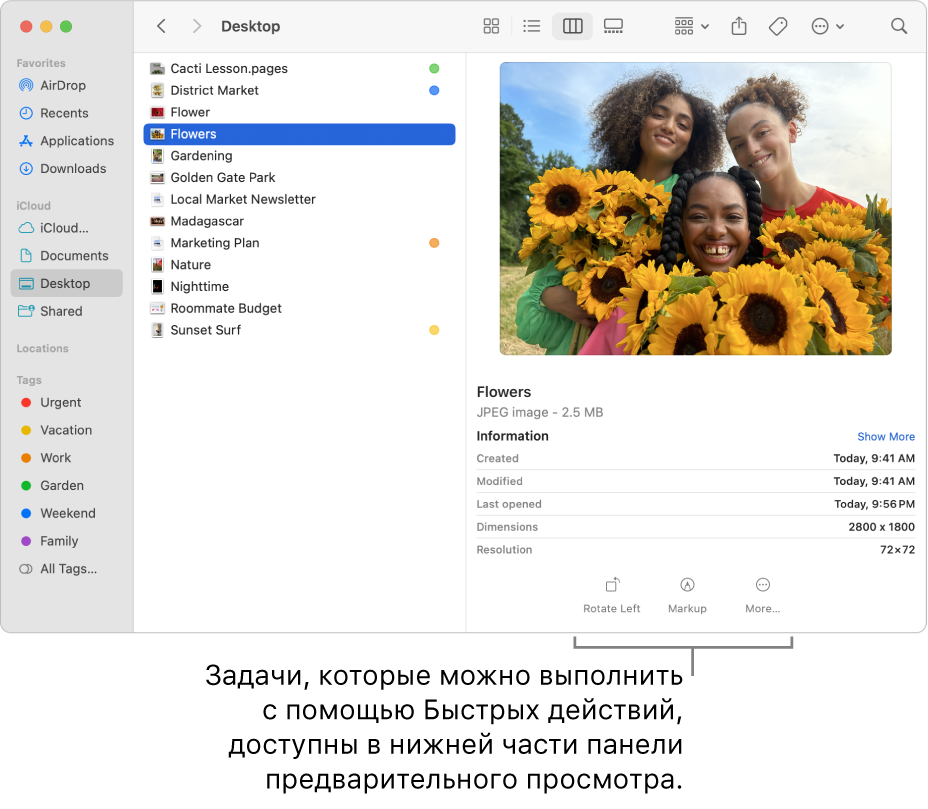 Нижняя часть панели предварительного просмотра с кнопками быстрых действий.
