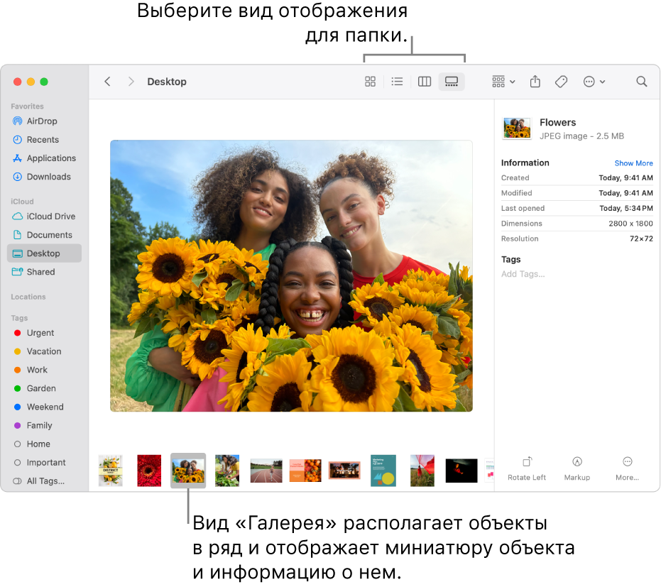 Окно Finder с боковым меню Finder слева и выбранным файлом изображения в нижней части окна. В середине окна находится панель предварительного просмотра: показано изображение, под ним — свойства изображения, а справа — кнопки быстрых действий.