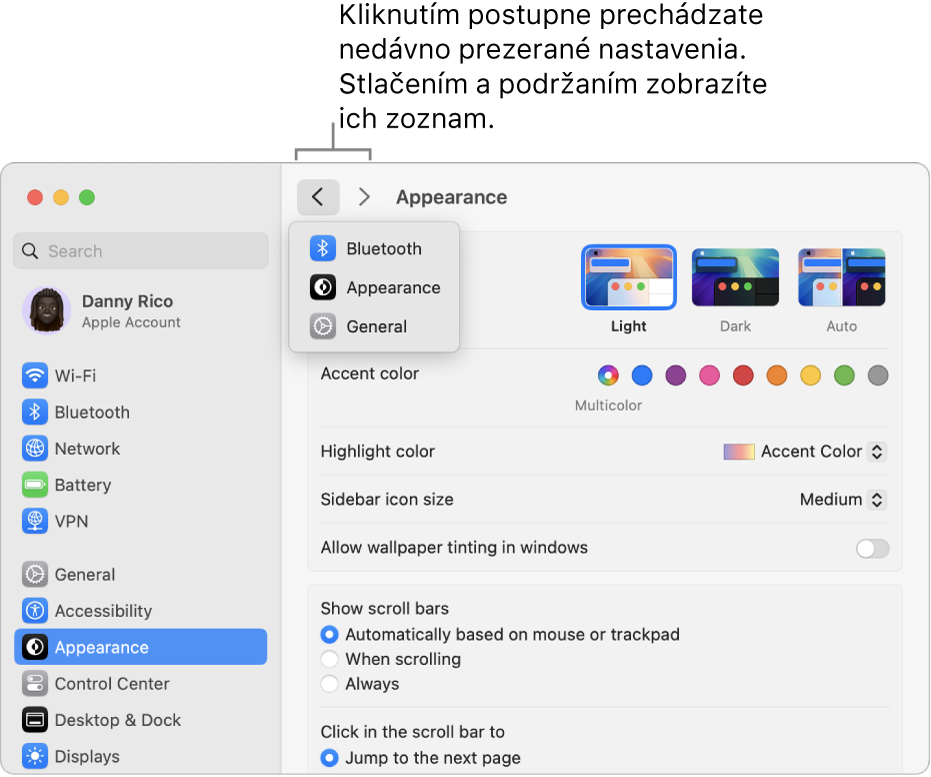 Okno Systémové nastavenia zobrazujúce nedávno zobrazené nastavenia pod tlačidlom Späť.