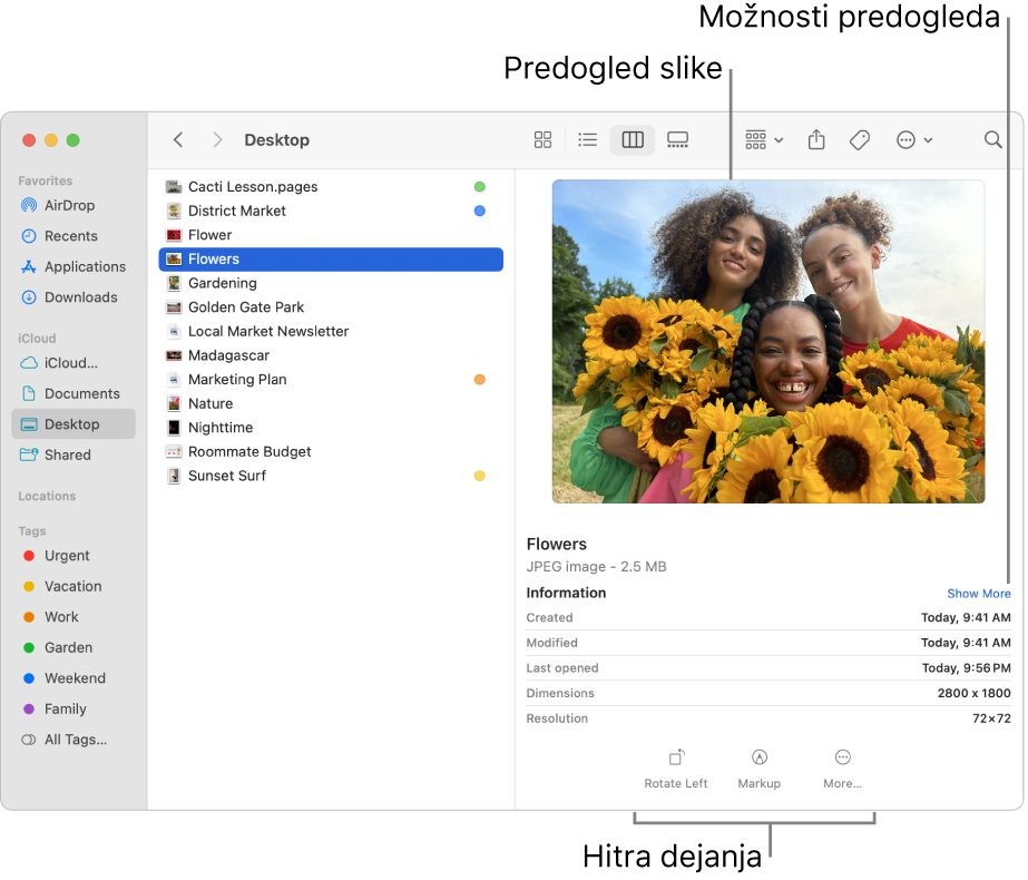 Okno aplikacije Finder, ki prikazuje stransko vrstico aplikacije Finder na levi in izbrano slikovno datoteko na sredini okna. Podokno za predogled na desni prikazuje, kako je videti slika, spodaj so navedene podrobnosti slike, na dnu pa gumbi Hitra dejanja.