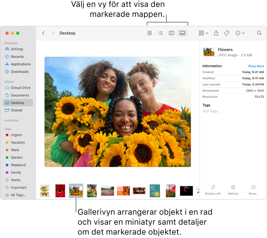 Ett Finder-fönster med Finder-sidofältet till vänster och en bildfil markerad i nederkanten av fönstret. I förhandsvisningspanelen i mitten visas hur bilden ser ut, tillsammans med bildinformation, och knappar för snabbåtgärder finns till höger.