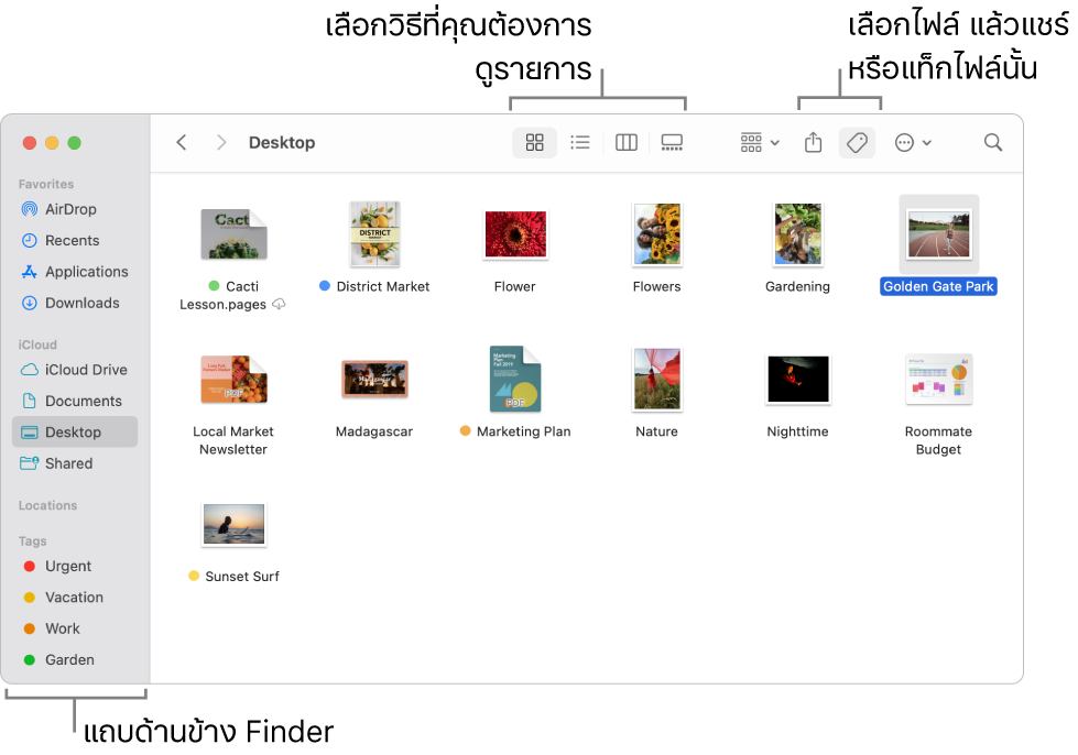 หน้าต่าง Finder ที่มีแถบด้านข้าง Finder ทางด้านซ้าย ที่ด้านบนสุดของหน้าต่างมีปุ่มสี่ปุ่มที่เปลี่ยนวิธีที่รายการแสดงในหน้าต่าง และปุ่มเพิ่มเติมสำหรับจัดระเบียบและแชร์รายการ