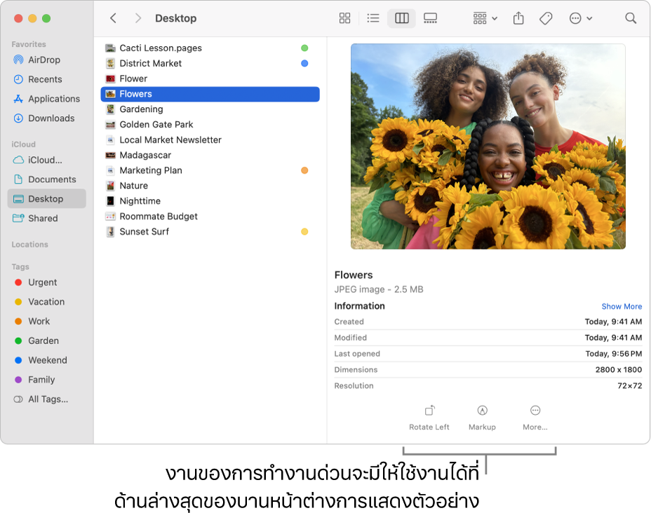 ด้านล่างสุดของบานหน้าต่างการแสดงตัวอย่างที่แสดงปุ่มการทำงานด่วน