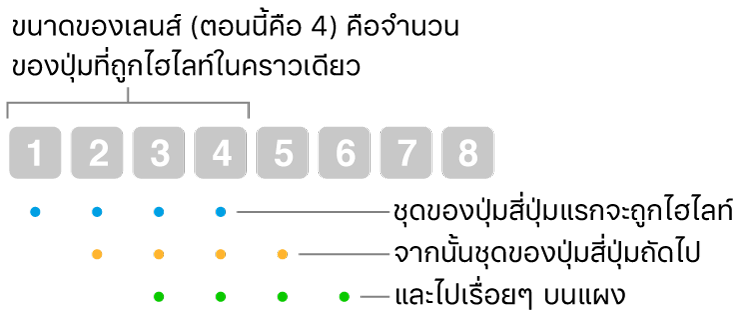 ภาพประกอบของวิธีการทำงานของลื่นและขั้น: ชุดปุ่มสี่ปุ่ม (ขนาดเลนส์) จะถูกไฮไลท์ จากนั้นจึงเป็นชุดปุ่มสี่ปุ่มถัดไป และเป็นเช่นนี้ไปเรื่อยๆ ตามลำดับการซ้อนทับ