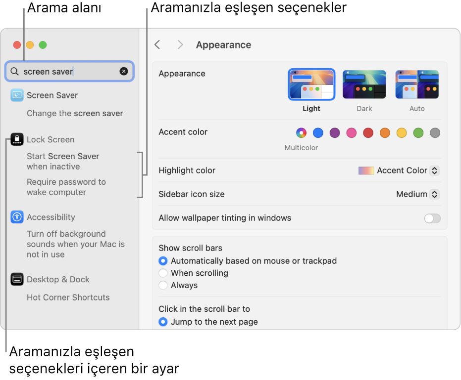 Arama alanında “ekran koruyucu” seçeneğini gösteren Sistem Ayarları penceresi ve arama alanının altında eşleşen sonuçların bir listesi.