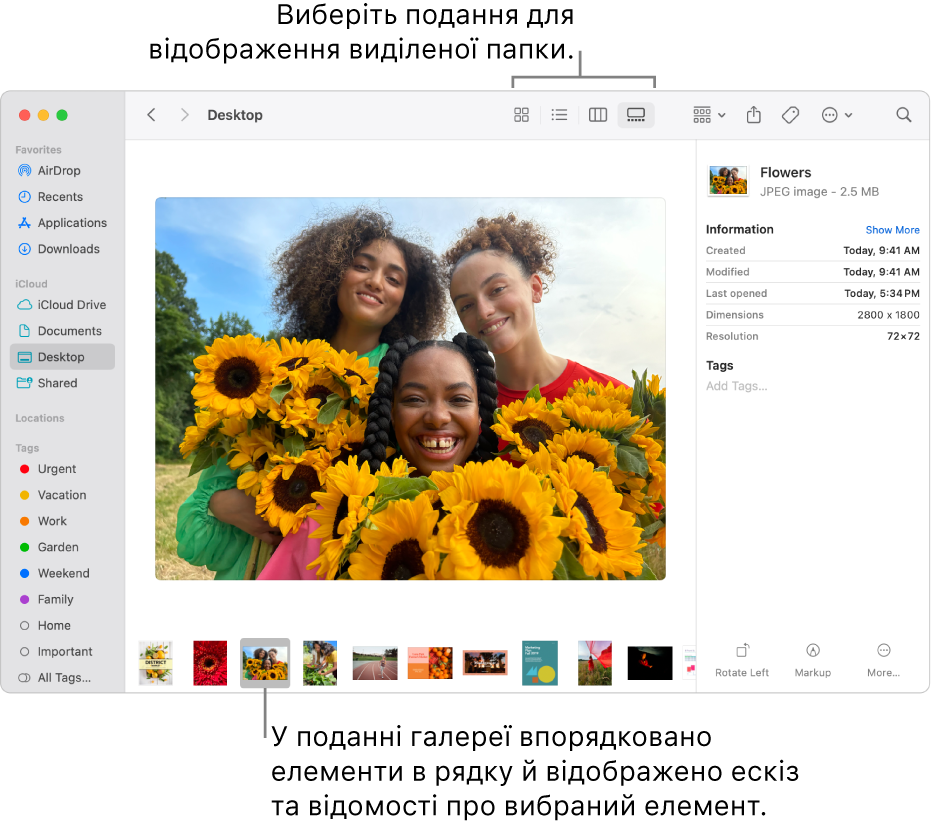 Вікно Finder із бічною панеллю Finder ліворуч і вибраним файлом зображення внизу вікна. У центрі на панелі мініатюр відображається мініатюра зображення, під нею — деталі файлу, а внизу — кнопки швидких дій.