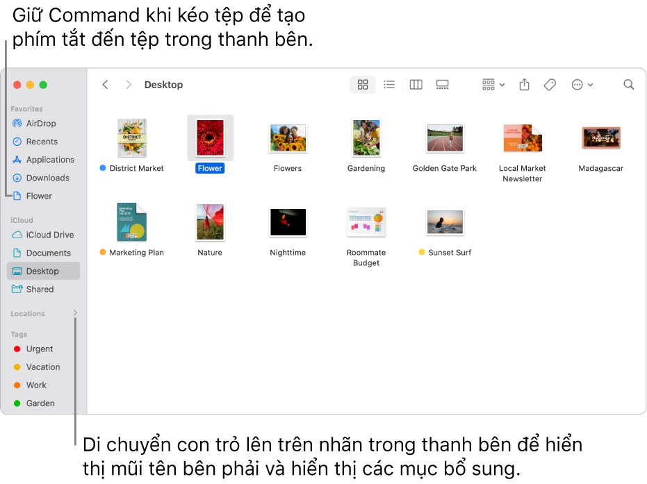 Ở bên phải của Vị trí trong thanh bên Finder là mũi tên để bấm nhằm hiển thị các mục bổ sung. Trong cửa sổ Finder ở bên phải, một tệp được chọn, và một phím tắt đến tệp nằm trong thanh bên, bên dưới Mục ưa thích.