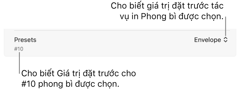 Phần Mục đặt trước của hộp thoại In hiển thị mục đặt trước cho tác vụ in phong bì đã chọn và mục đặt trước tùy chỉnh cho phong bì khổ #10 đã chọn.