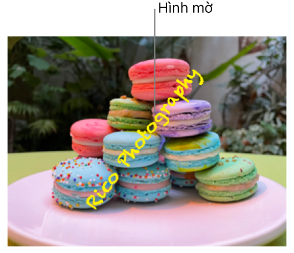 Ảnh hiển thị hình mờ dạng văn bản ghi “Rico Photography” xuất hiện theo các đường chéo trên ảnh.