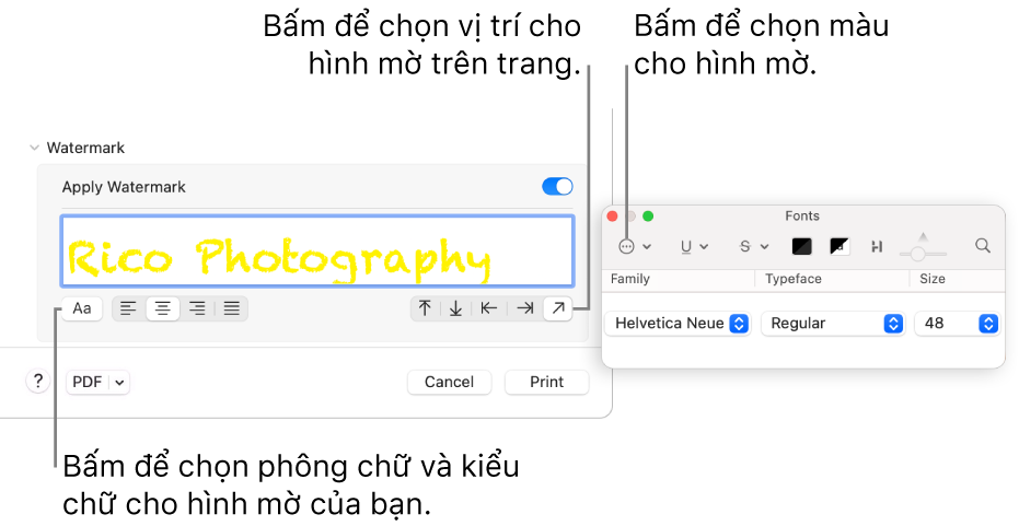 Tùy chọn in Hình mờ hiển thị các mục Áp dụng hình mờ, Vị trí và Nhãn hình mờ.