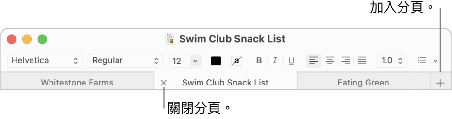 「文字編輯」視窗，分頁列中有三個分頁，位於格式列下方。 一個分頁顯示「關閉」按鈕。 「加入」按鈕位於分頁列的最右側。