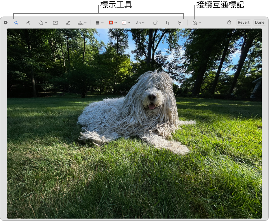 「標示」視窗顯示工具列,內含「標示」工具和按一下即可在附近 iPhone 或 iPad上「接續互通標示」的工具。