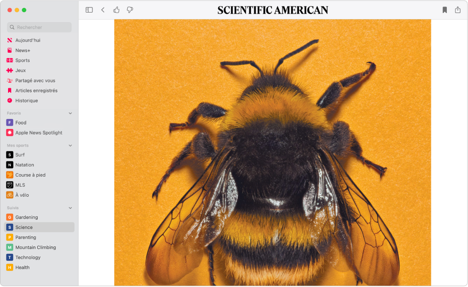 La fenêtre Apple News affichant une chaîne enregistrée est sélectionnée dans la barre latérale et un article de la chaîne s’affiche sur la droite.