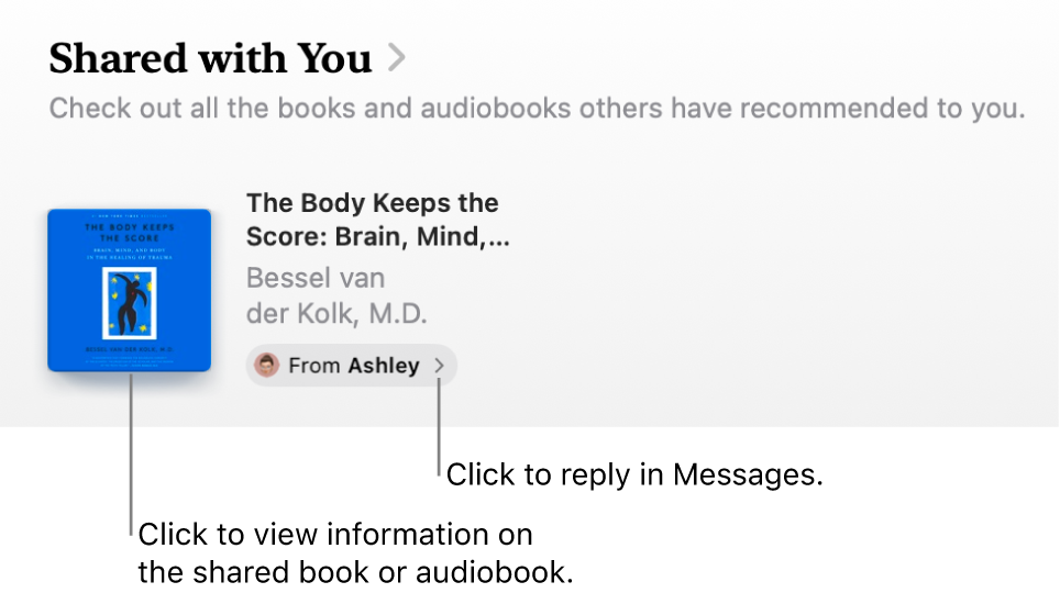 A screen showing a book in the Shared with You section.