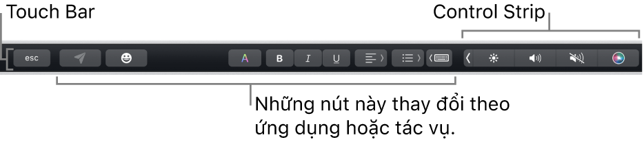 Touch Bar dọc theo cạnh trên cùng của bàn phím, đang hiển thị Control Strip được thu gọn ở bên phải và các nút thay đổi theo ứng dụng hoặc tác vụ.