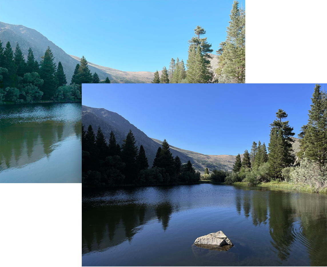 An image whose color profile is changed using the ColorSync Utility.