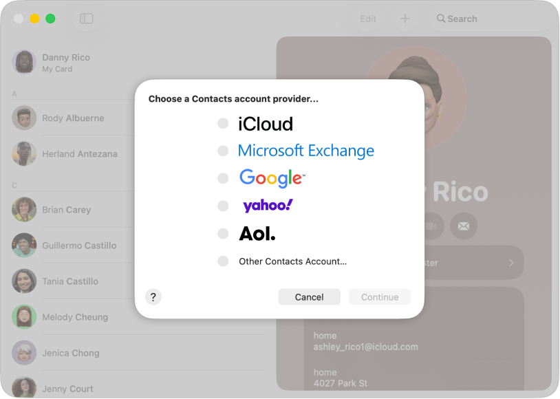 The window for adding internet accounts to the Contacts app.