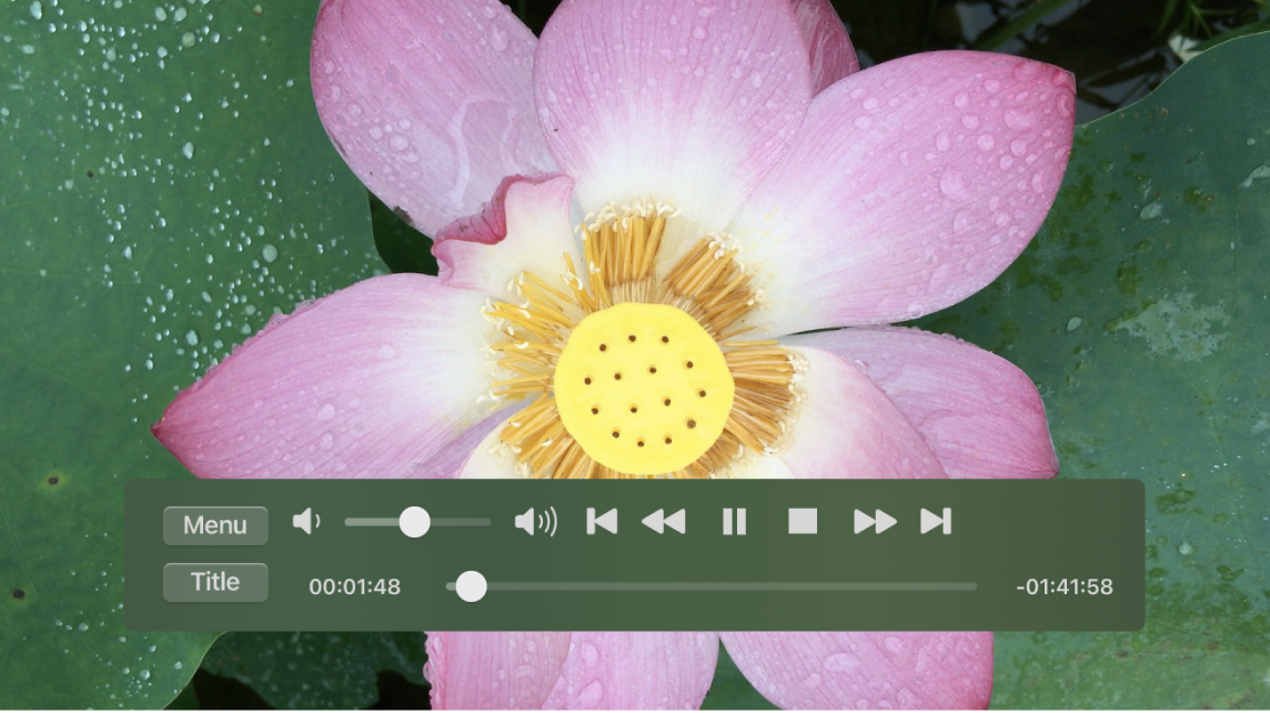 Cửa sổ Trình phát DVD với phim DVD đang phát.