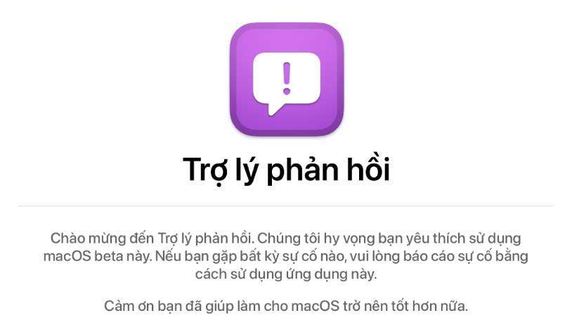 Cửa sổ Chào mừng đến Trợ lý phản hồi.