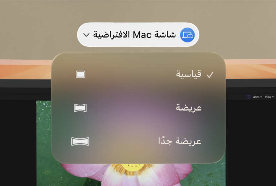 visionOS تظهر بها خيارات نسبة العرض إلى الارتفاع لشاشة Mac الافتراضية.
