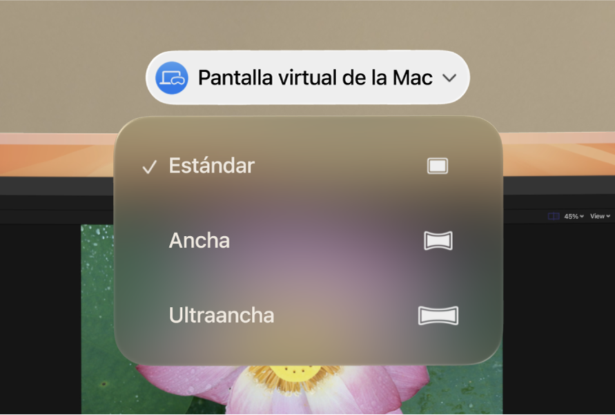 visionOS mostrando las opciones de proporción de la pantalla virtual de la Mac.