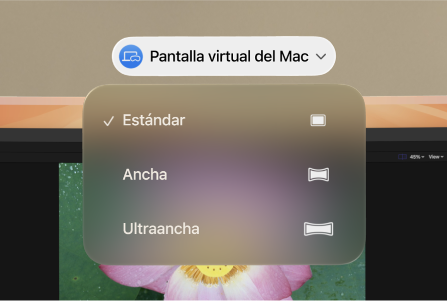 visionOS con las opciones de proporción de la pantalla virtual del Mac.
