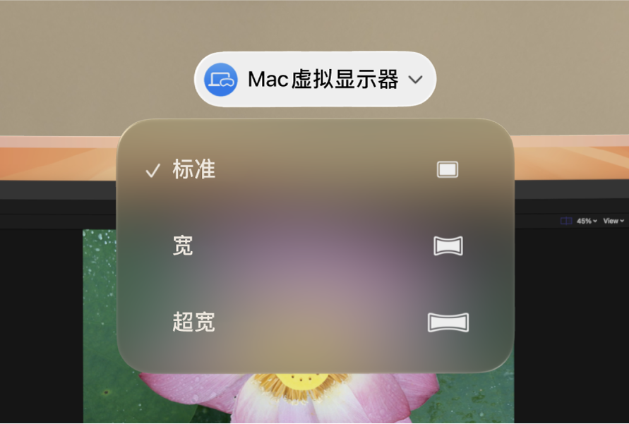 visionOS 显示 Mac 虚拟显示器宽高比选项。