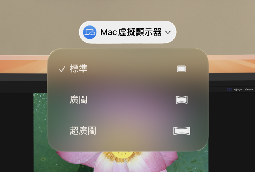 visionOS 顯示「Mac 虛擬顯示器」顯示比例選項。