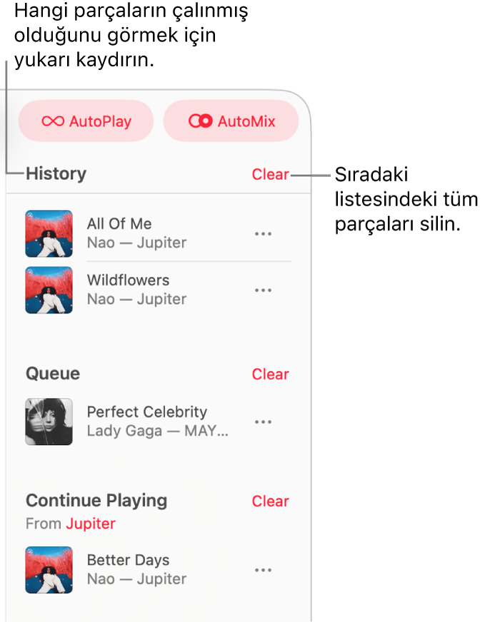 Sıra, Apple Music’in sağ üst köşesinde görünür. Geçmiş, Sıra ve Oynatmayı Sürdür bölümleri görünür.