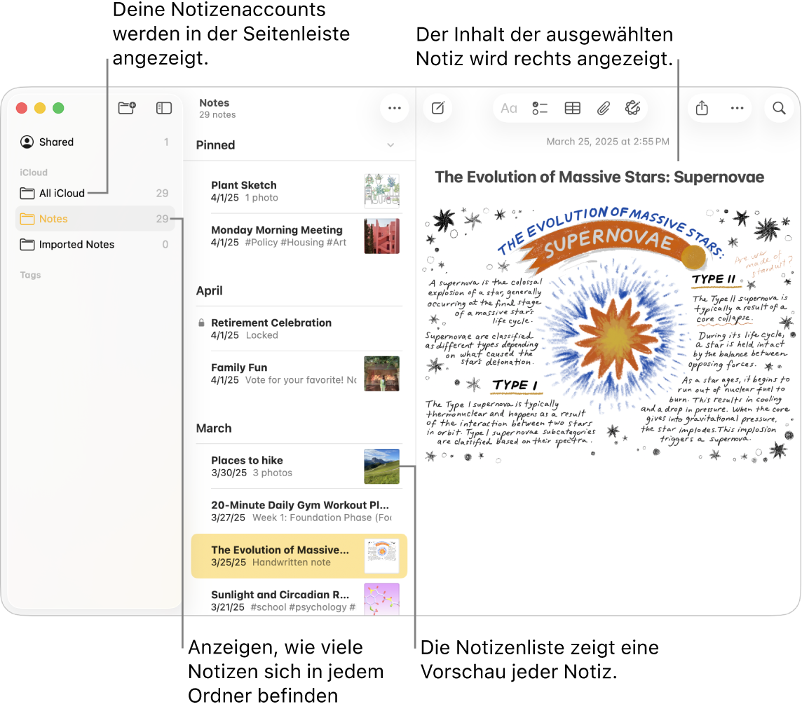 Das Fenster der App „Notizen“ auf dem Mac mit allen konfigurierten Accounts und Ordnern in der Seitenleiste links, mit einer Liste von Notizen inklusive einer Vorschau jeder Notiz in der Mitte und dem Inhalt der aktuell ausgewählten Notiz rechts. Neben jedem Ordner wird die Anzahl der darin enthaltenen Notizen angezeigt.
