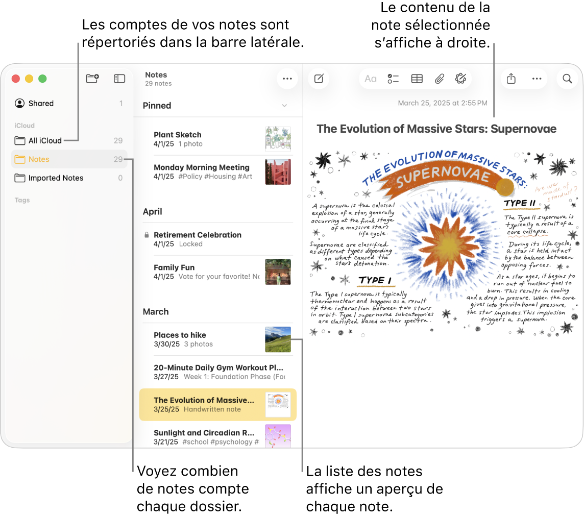 Fenêtre de l’app Notes sur un Mac avec tous vos comptes configurés et dossiers répertoriés dans la barre latérale à gauche, la liste des notes au milieu avec un aperçu de chaque note et le contenu de la note sélectionnée à droite. Le nombre de notes s’affiche à côté de chaque dossier.