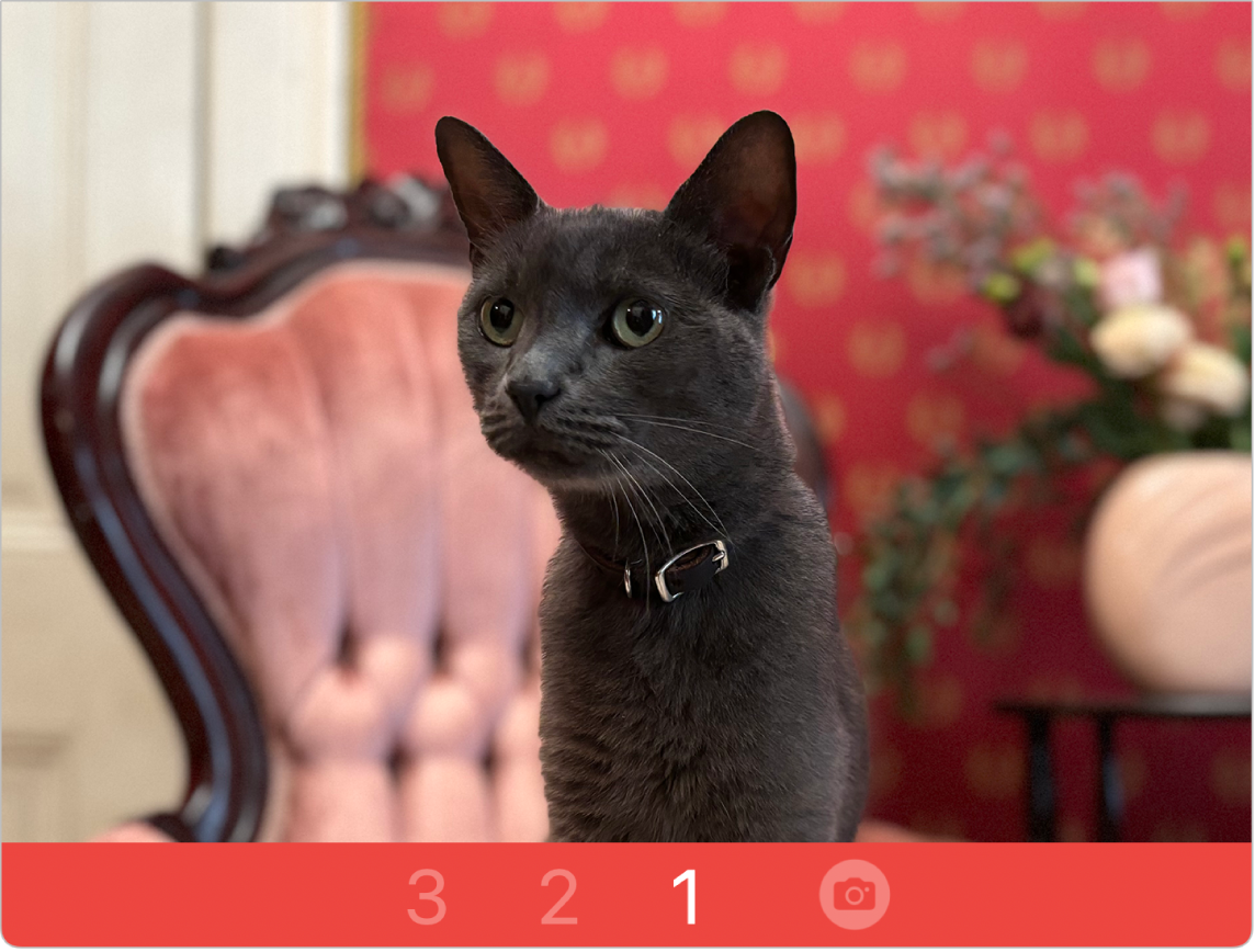 The Photo Booth count down.