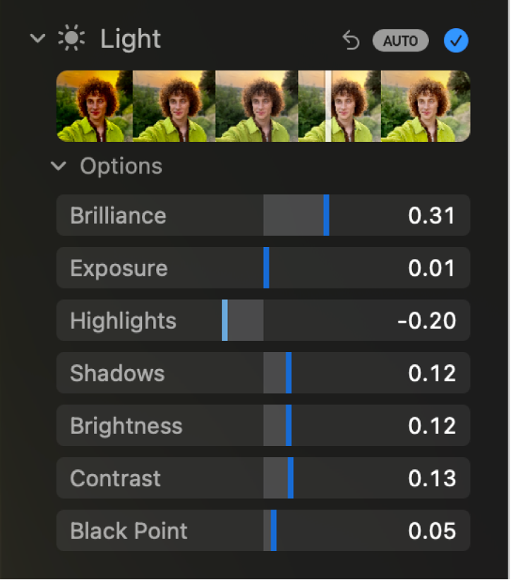 The Light area of the Adjust pane, showing sliders for Brilliance, Exposure, Highlights, Shadows, Brightness, Contrast, and Black Point.