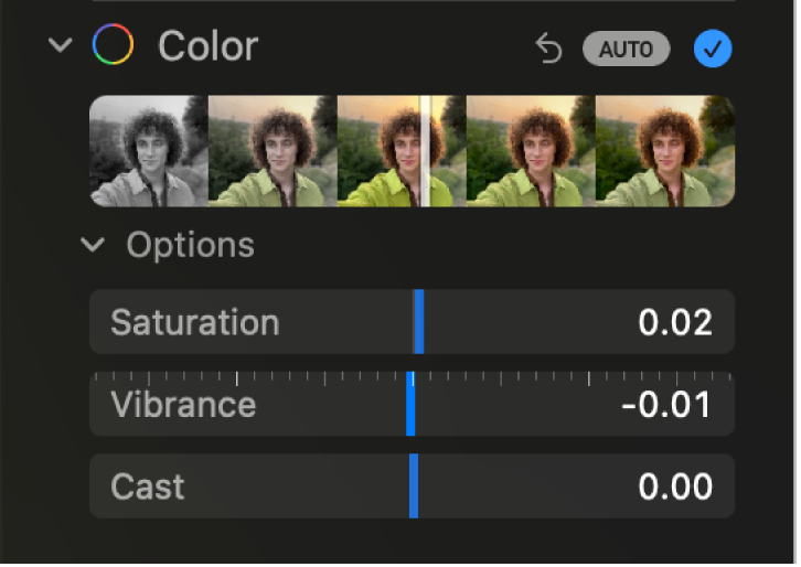 The Color area of the Adjust pane, showing sliders for Saturation, Vibrance, and Cast.