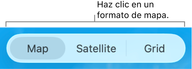 Botones de Mapa, Satélite y Cuadrícula.