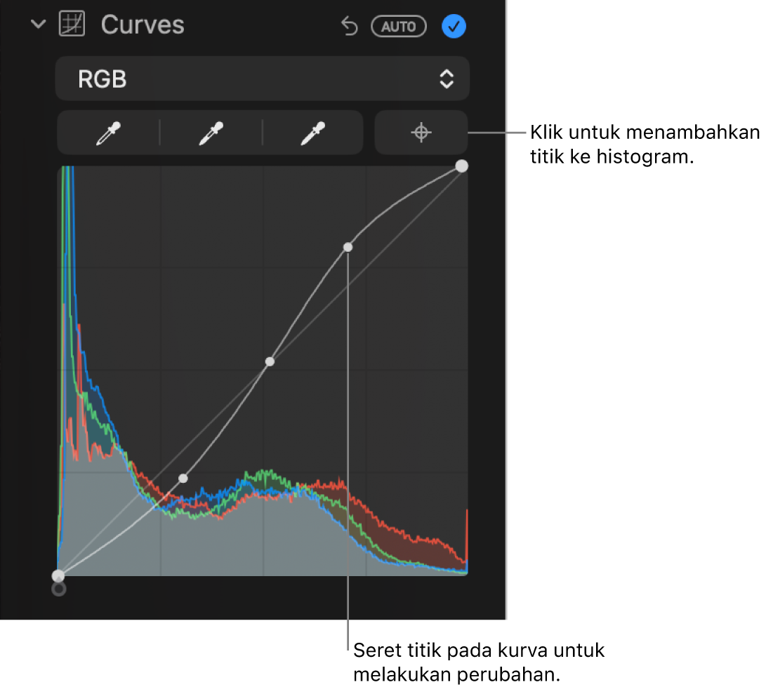 Kontrol Kurva di panel Sesuaikan, menampilkan dan tombol Tambah Titik di kanan atas serta histogram RGB di bawah.