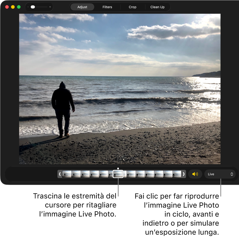 Una Live Photo nella vista di modifica e un cursore sotto di essa con i fotogrammi della foto. A destra del cursore si trovano il pulsante Altoparlante e il menu a comparsa che puoi utilizzare per aggiungere gli effetti Loop, Rimbalzo o “Esposizione lunga”.
