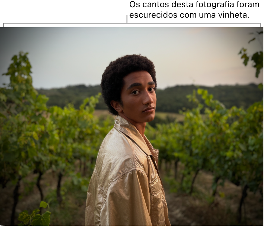 Uma fotografia com uma vinheta, exibindo escuridão nas bordas.