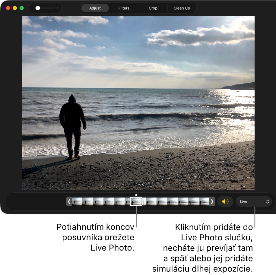 Fotka Live Photo v zobrazení úprav s posuvníkom pod fotkou, ktorý zobrazuje snímky fotky. Napravo od posuvníka je tlačidlo Reproduktor a vyskakovacie menu, ktoré môžete použiť na pridanie slučky, odrazenia alebo efektu dlhej expozície.