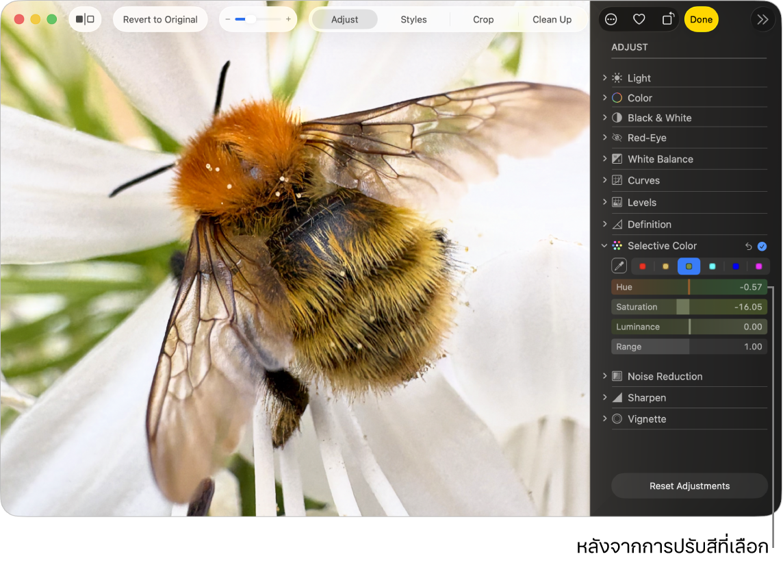 รูปภาพหลังการปรับสีที่เลือก โดยแสดงความอิ่มตัวของสีที่เพิ่มขึ้น