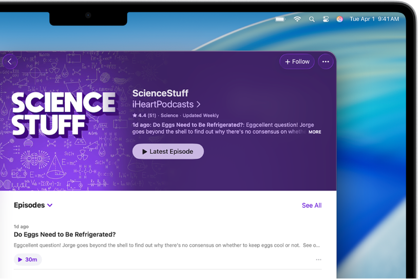 A show page in the Podcasts app, showing the Follow button and show details.