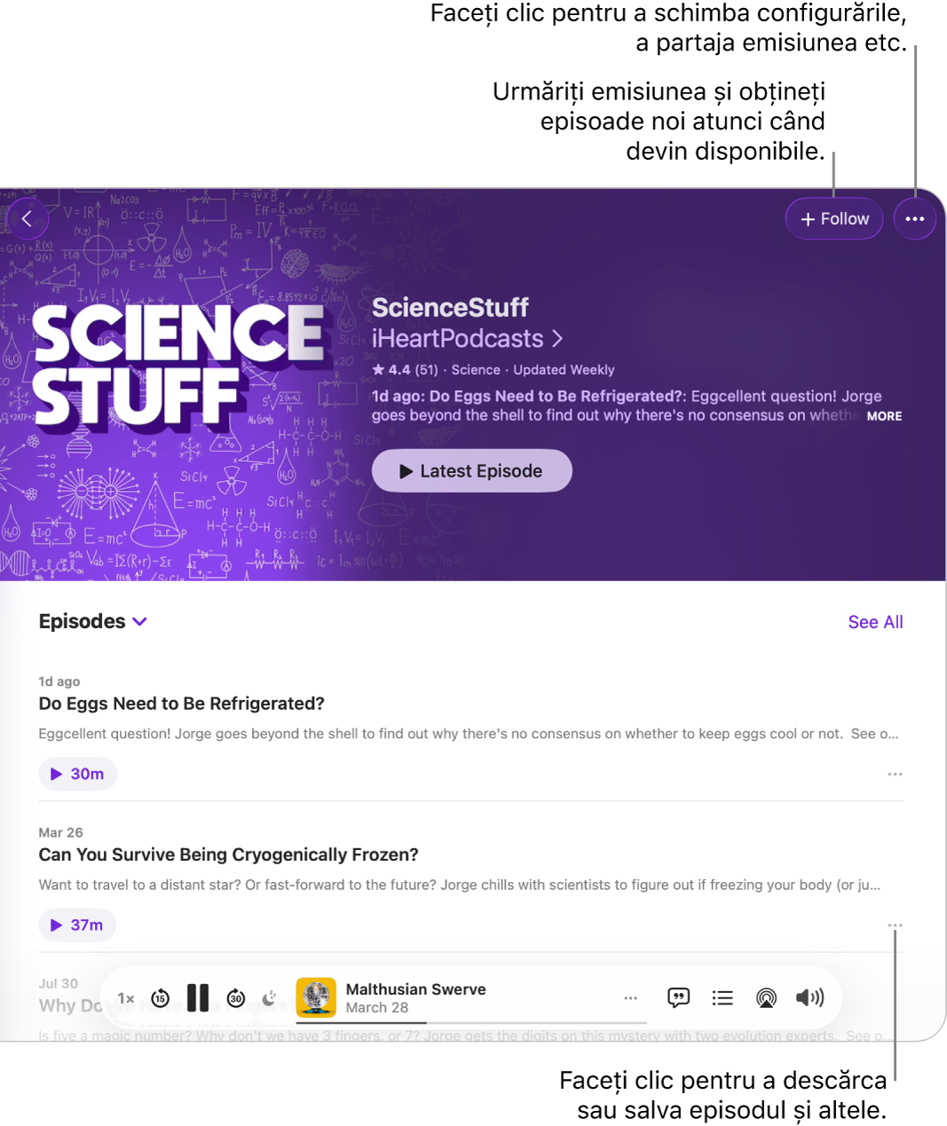 O pagină de informații pentru un podcast, afișând butoanele Urmăriți și butonul Mai multe pentru emisiune în partea de sus. În partea de jos a paginii se află rezumatul episodului și butonul Mai multe pentru episod.