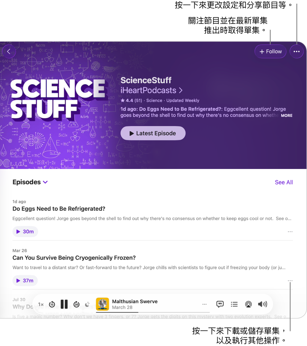 Podcast 的資料頁面,顯示最上方節目的「關注」和「更多」按鈕。 頁面最下方是單集概要,以及單集的「更多」按鈕。