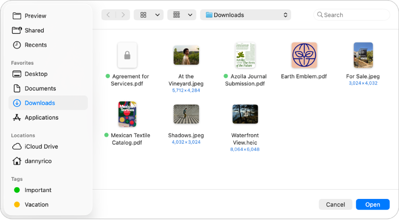 The Open File dialog in the Preview app, showing PDF and image files as icons. At the bottom right are the Cancel and Open buttons.