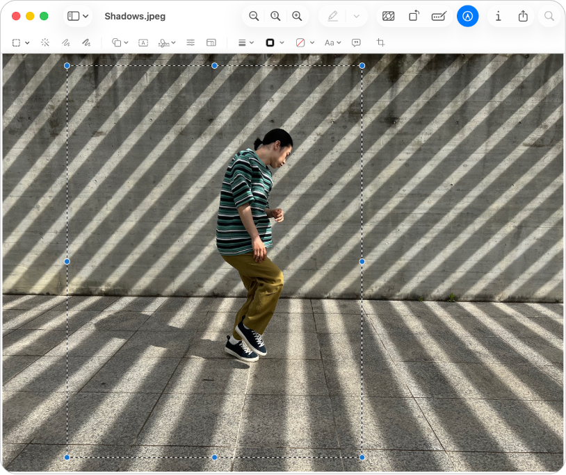 A Preview window showing an image. Dotted lines and blue dots outline the area being cropped.